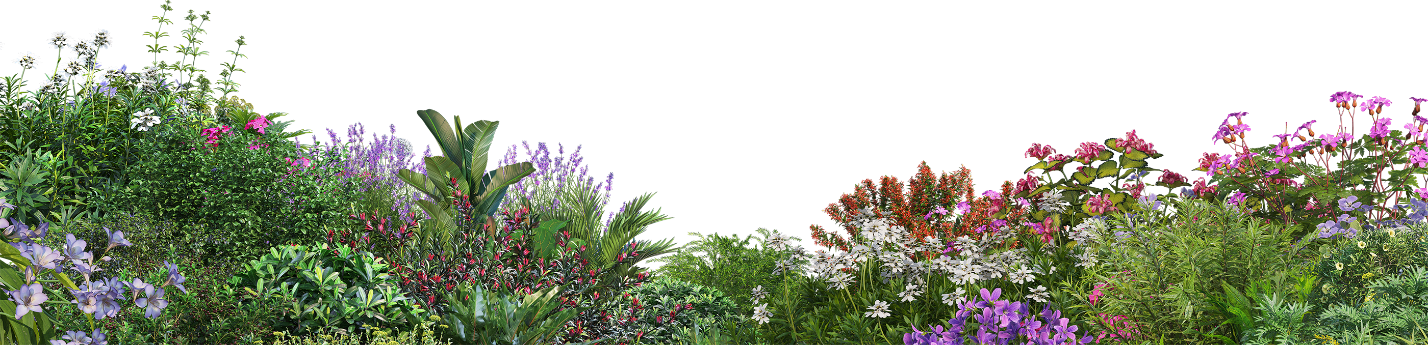 Gęsto rosnące kolorowe kwiaty i liście różnych roślin na czarnym tle.